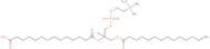 1-Myristoyl-2-(14-carboxymyristoyl)-sn-glycero-3-phosphocholine