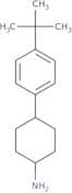 4-(4-tert-Butylphenyl)cyclohexan-1-amine