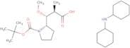 Dicyclohexylamine (2R,3R)-3-((S)-1-(tert-butoxycarbonyl)pyrrolidin-2-yl)-3-methoxy-2-methylpropano…
