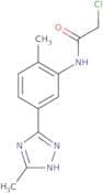 2-Chloro-N-[2-methyl-5-(5-methyl-1H-1,2,4-triazol-3-yl)phenyl]acetamide