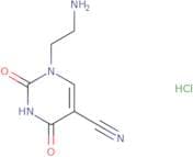 1-(2-Aminoethyl)-2,4-dioxo-1,2,3,4-tetrahydropyrimidine-5-carbonitrile hydrochloride