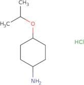 4-(Propan-2-yloxy)cyclohexan-1-amine hydrochloride