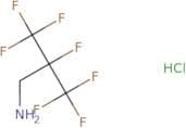2-(Aminomethyl)-1,1,1,2,3,3,3-heptafluoropropane hydrochloride