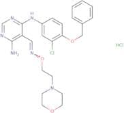 JNJ 28871063 hydrochloride