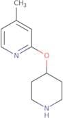 4-Methyl-2-(piperidin-4-yloxy)pyridine