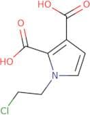 1-(2-Chloroethyl)-1H-pyrrole-2,3-dicarboxylic acid
