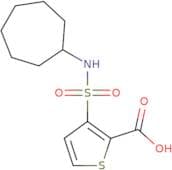 3-(Cycloheptylsulfamoyl)thiophene-2-carboxylic acid