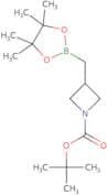 tert-Butyl 3-[(tetramethyl-1,3,2-dioxaborolan-2-yl)methyl]azetidine-1-carboxylate