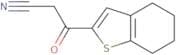 3-Oxo-3-(4,5,6,7-tetrahydro-1-benzothiophen-2-yl)propanenitrile