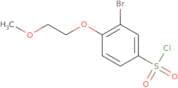 3-Bromo-4-(2-methoxyethoxy)benzene-1-sulfonyl chloride