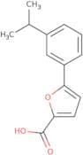 5-[3-(Propan-2-yl)phenyl]furan-2-carboxylic acid