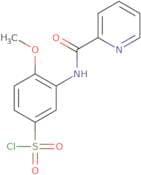 4-Methoxy-3-(pyridine-2-amido)benzene-1-sulfonyl chloride
