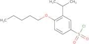 4-(Pentyloxy)-3-(propan-2-yl)benzene-1-sulfonyl chloride