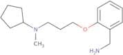 N-{3-[2-(Aminomethyl)phenoxy]propyl}-N-methylcyclopentanamine