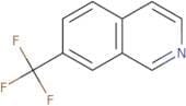 7-(Trifluoromethyl)isoquinoline