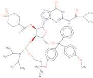 DMT-2′O-TC-rG(ib) Phosphoramidite
