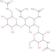 Tetra-N-acetyl kanamycin A