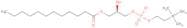 1-Lauroyl-2-Hydroxy-sn-Glycero-3-Phosphatidylcholine