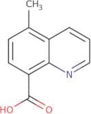5-Methylquinoline-8-carboxylic acid