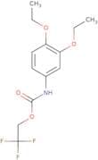 2,2,2-Trifluoroethyl N-(3,4-diethoxyphenyl)carbamate