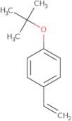 4-tert-Butoxystyrene