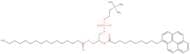 1-Palmitoyl-2-(pyrene-1-yl)decanoyl-sn-glycero-3-phosphocholine