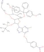 2-Fluoro-I ce-phosphoramidite (convertible G ce-phosphoramidite)