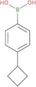 (4-Cyclobutylphenyl)boronic acid