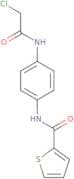 N-[4-(2-Chloroacetamido)phenyl]thiophene-2-carboxamide