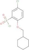 5-Chloro-2-(cyclohexylmethoxy)benzene-1-sulfonyl chloride