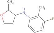 N-(3-Fluoro-2-methylphenyl)-2-methyloxolan-3-amine