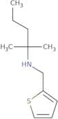 (2-Methylpentan-2-yl)(thiophen-2-ylmethyl)amine