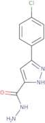 5-(4-Chlorophenyl)-1H-pyrazole-3-carbohydrazide
