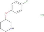 3-(4-chlorophenoxy)piperidine hcl