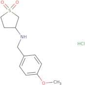 N-(1,1-Dioxidotetrahydrothien-3-yl)-N-(4-methoxybenzyl)amine hydrochloride