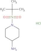 1-(2-Methylpropane-2-sulfonyl)piperidin-4-amine hydrochloride