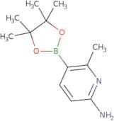 6-Amino-2-methylpyridin-3-ylboronic acid pinacol ester