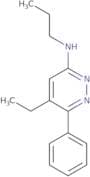 5-Ethyl-6-phenyl-N-propylpyridazin-3-amine