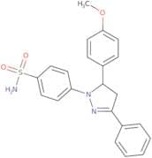 Cdc42/Rac1 GTPase Inhibitor, ML141