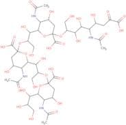 N-Acetylneuraminic Acid Tetramer alpha(2-8)
