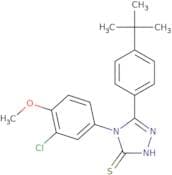 5-(4-tert-Butylphenyl)-4-(3-chloro-4-methoxyphenyl)-4H-1,2,4-triazole-3-thiol