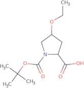 (2S,4R)-1-[(tert-Butoxy)carbonyl]-4-ethoxypyrrolidine-2-carboxylic acid