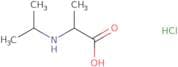 2-[(Propan-2-yl)amino]propanoic acid hydrochloride