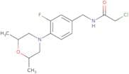 2-Chloro-N-{[4-(2,6-dimethylmorpholin-4-yl)-3-fluorophenyl]methyl}acetamide