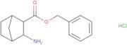 Benzyl 3-aminobicyclo[2.2.1]heptane-2-carboxylate hydrochloride