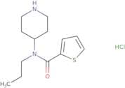 N-(Piperidin-4-yl)-N-propylthiophene-2-carboxamide hydrochloride