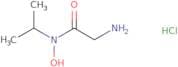 2-Amino-N-hydroxy-N-(propan-2-yl)acetamide hydrochloride