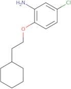 5-Chloro-2-(2-cyclohexylethoxy)aniline