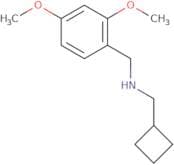 (Cyclobutylmethyl)[(2,4-dimethoxyphenyl)methyl]amine