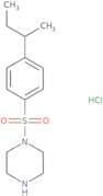 1-[4-(Butan-2-yl)benzenesulfonyl]piperazine hydrochloride